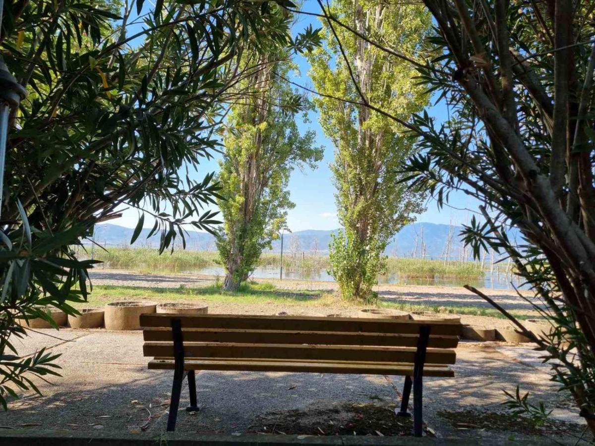 Fuk-Tak'S Bungalow Dojran 外观 照片