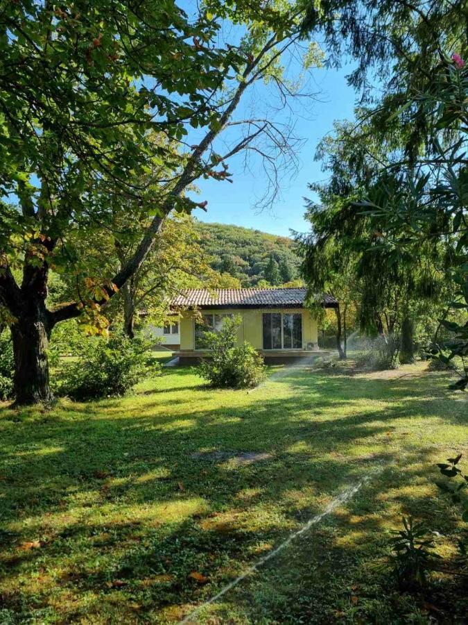 Fuk-Tak'S Bungalow Dojran 外观 照片
