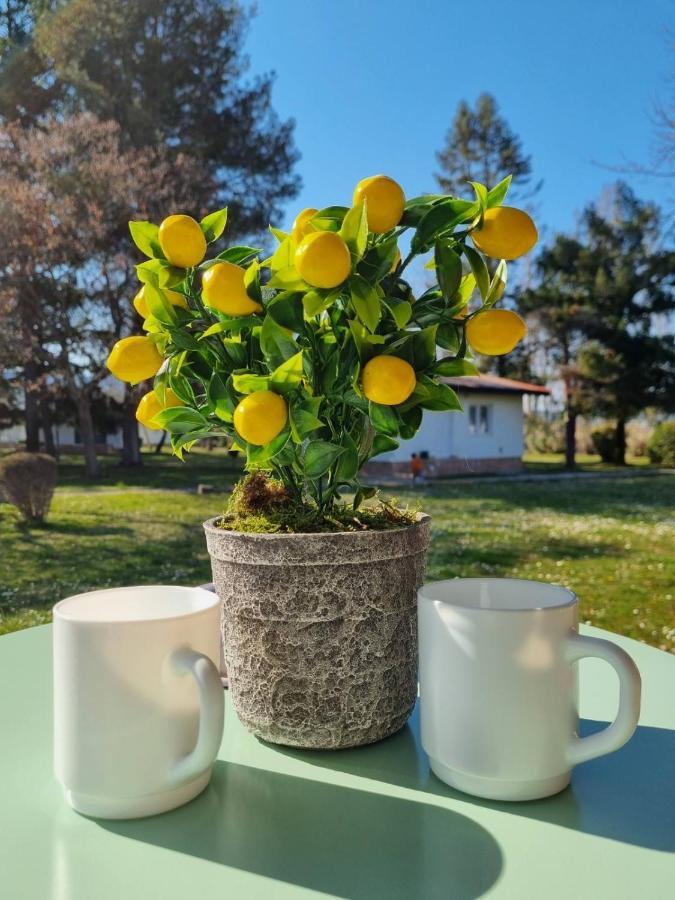 Fuk-Tak'S Bungalow Dojran 外观 照片